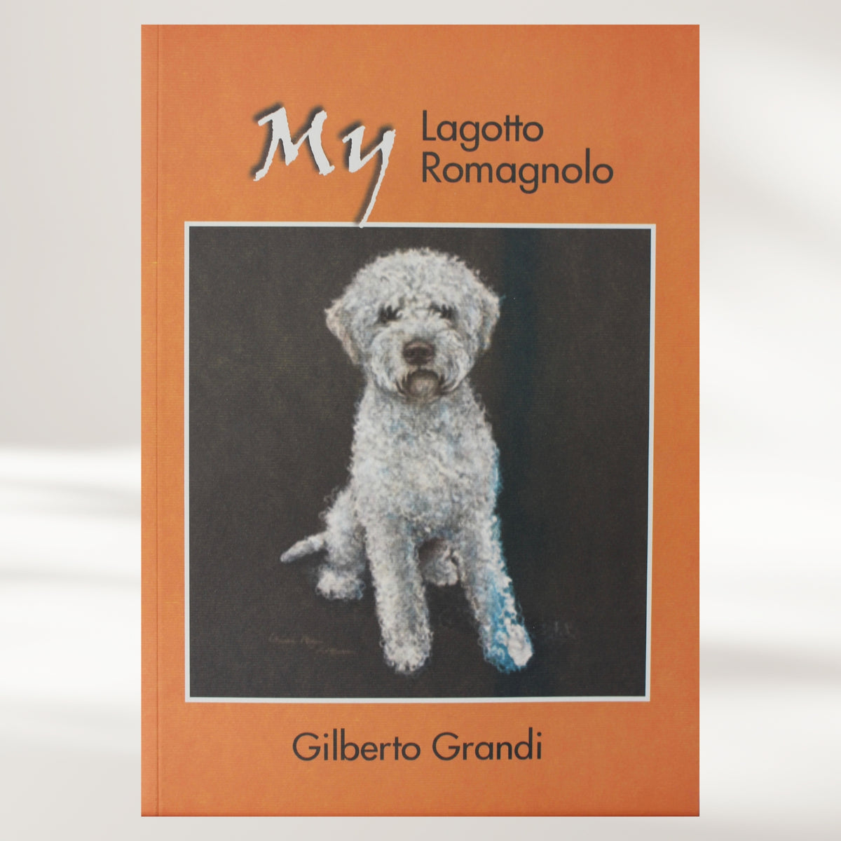 My Lagotto Romagnolo